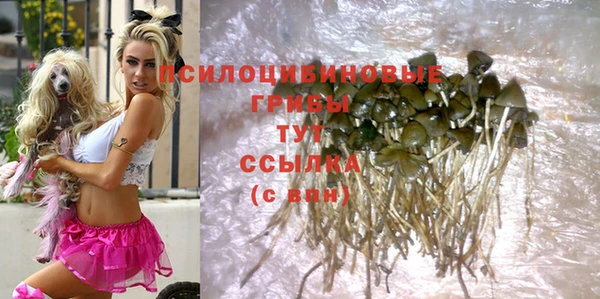 прущий лед Михайловск