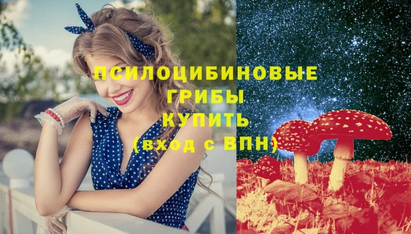 гидра Михайлов