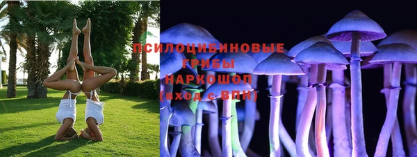 прущий лед Михайловск