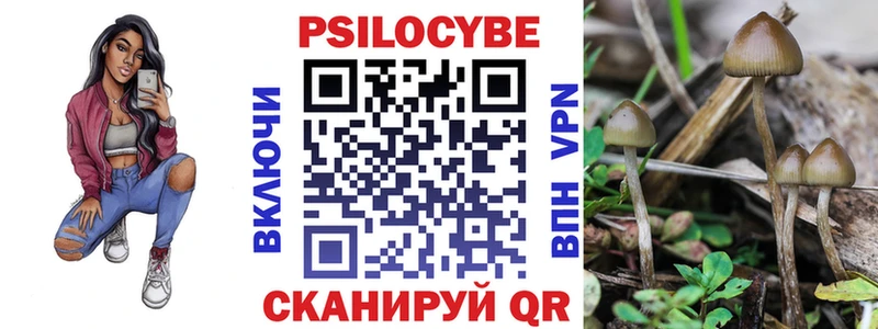 Псилоцибиновые грибы мицелий  Киров 