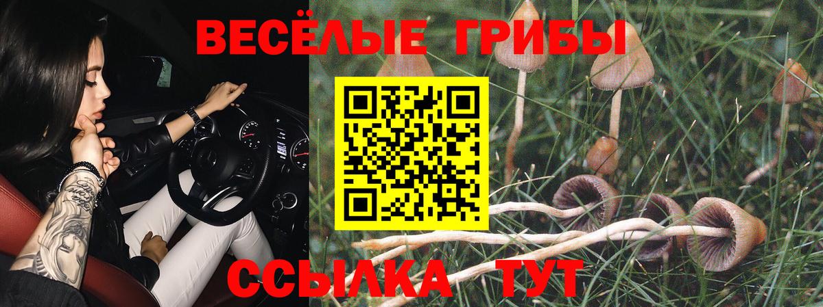 Галлюциногенные грибы MAGIC MUSHROOMS  Вход с VPN  Псилоцибиновые грибы прущие грибы  Киров 