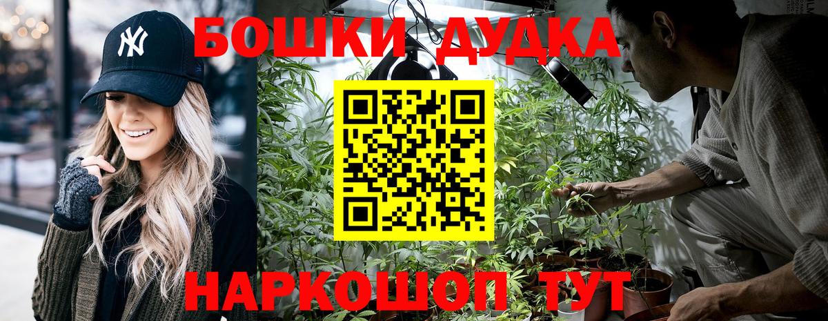 Бошки Шишки гибрид Киров